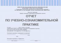 Отчет о прохождении учебной практики (экономика предприятия)